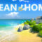 Ocean is Home 2 Mod APK v0.702