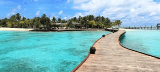 Download Ocean is Home 2 Mod APK