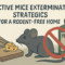 Effective Mice Extermination Strategies for a Rodent-Free Home
