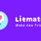 LitmatchMake new friends Download For Android