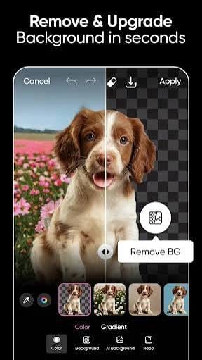 Download Picsart Gold v30.3.5 MOD 
